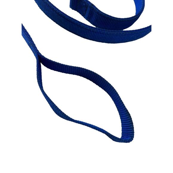 Blue Dog Leash 60” x 1” Heavy Duty Nylon Walking Training Pets - Picture 4 of 9